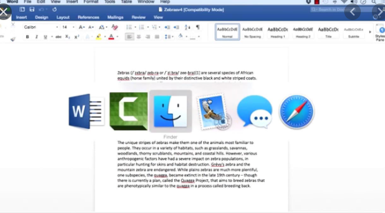 download font for mac microsoft word